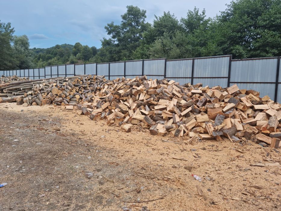 Vand lemn foc de fag