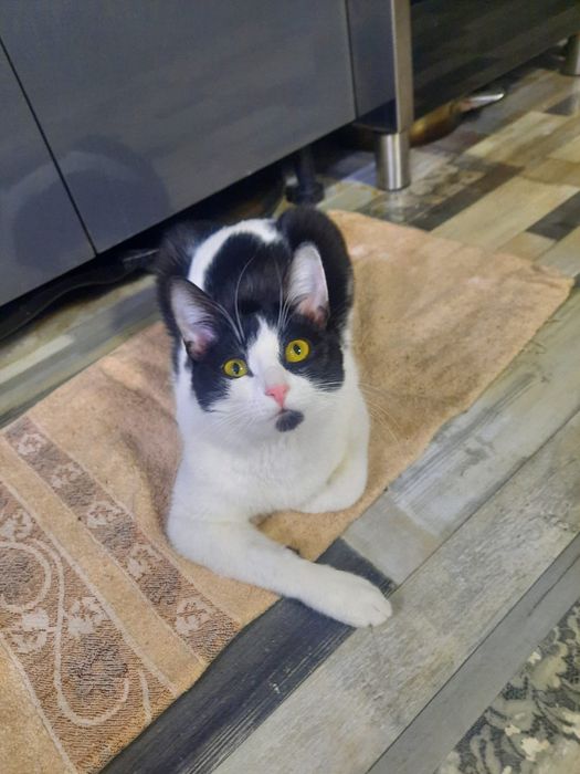 В самые добрые и ответственные руки