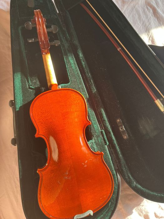 Скрипка музыкальный инструмент