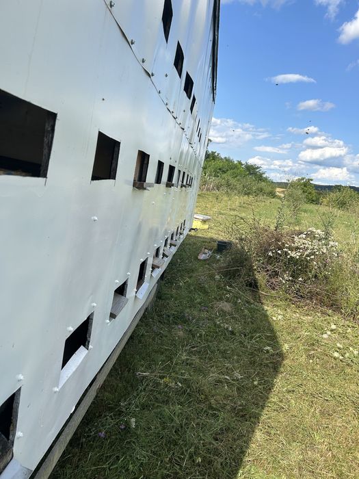 Vand stupina camion apicol si 30 famili de albine