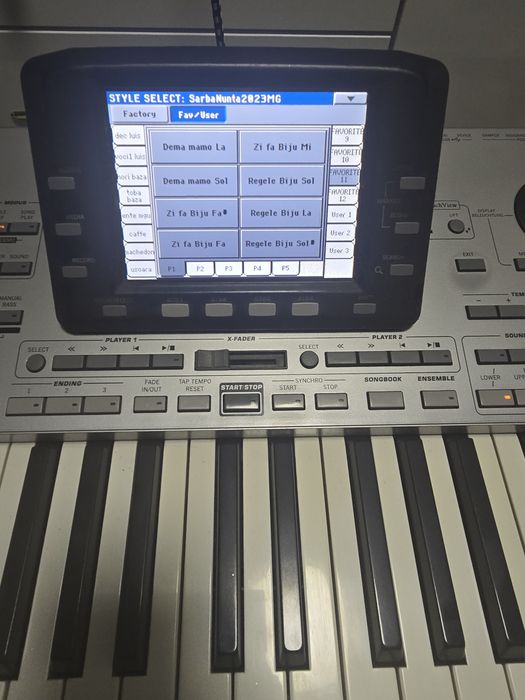 Set korg pa3 mem 256 /pa600 96 mb/pa800256 pa300 32 mb/Automat introdu