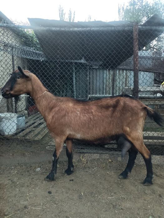 Байланыстағы шлюздер