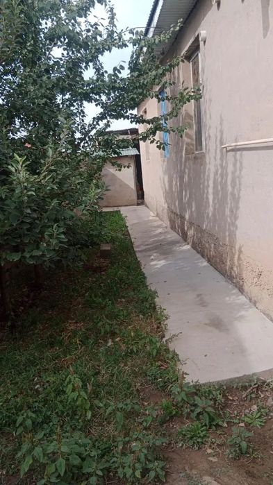 Продом дом ближайшие школы