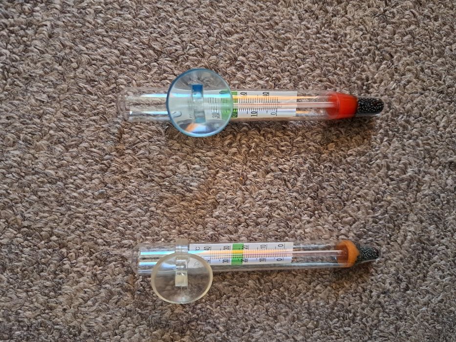 Plante de suprafață pentru acvariu