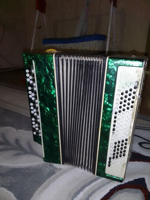 Баян молодечно 2