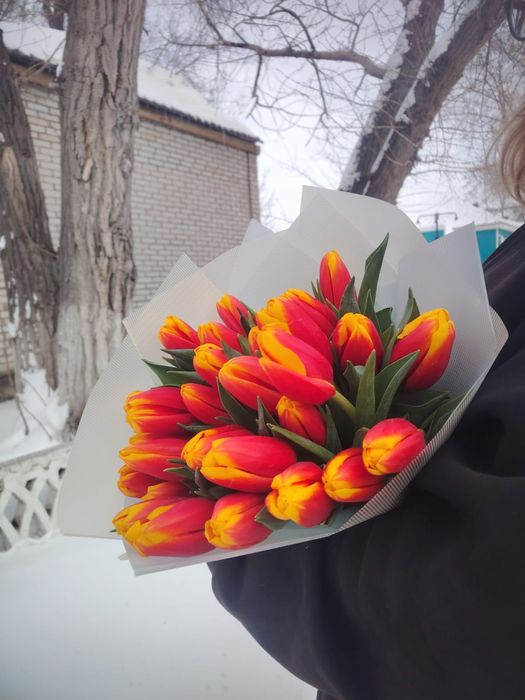 Тюльпаны к 8 марта