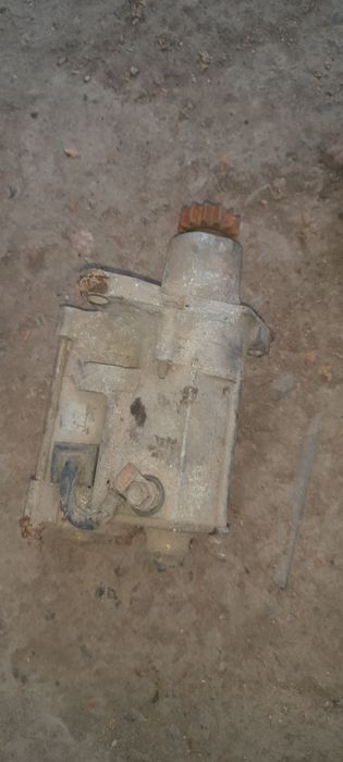 Отдам котят срочно8