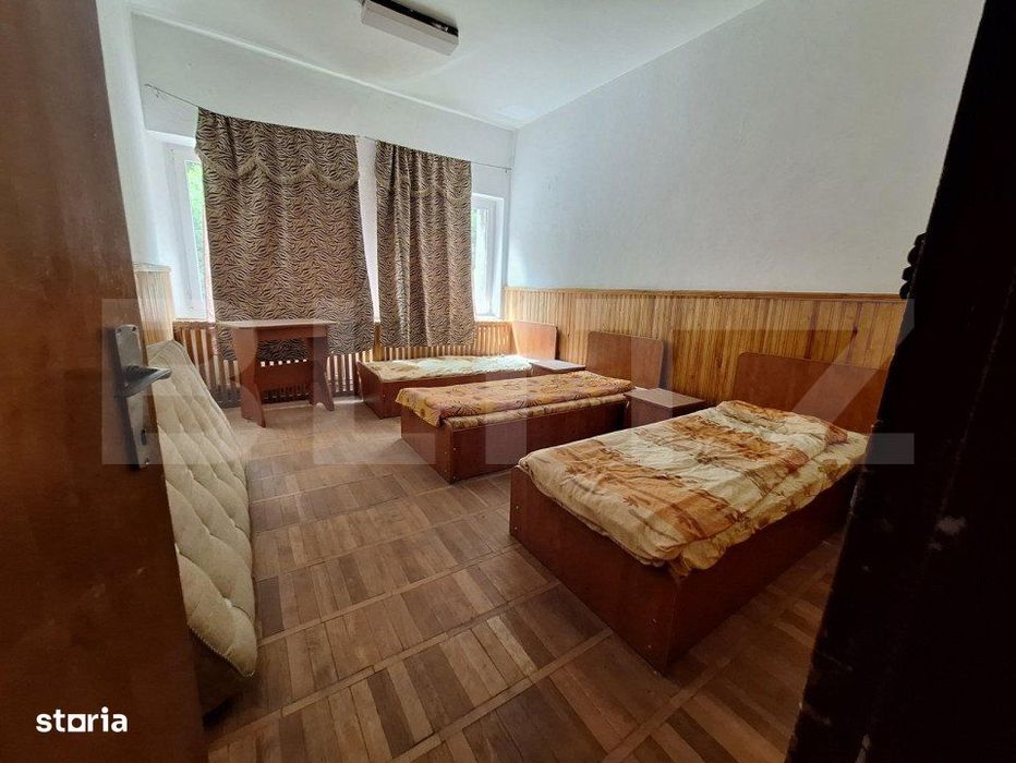 Proprietate de cazare, spatii comerciale, Lugoj - Mai multe