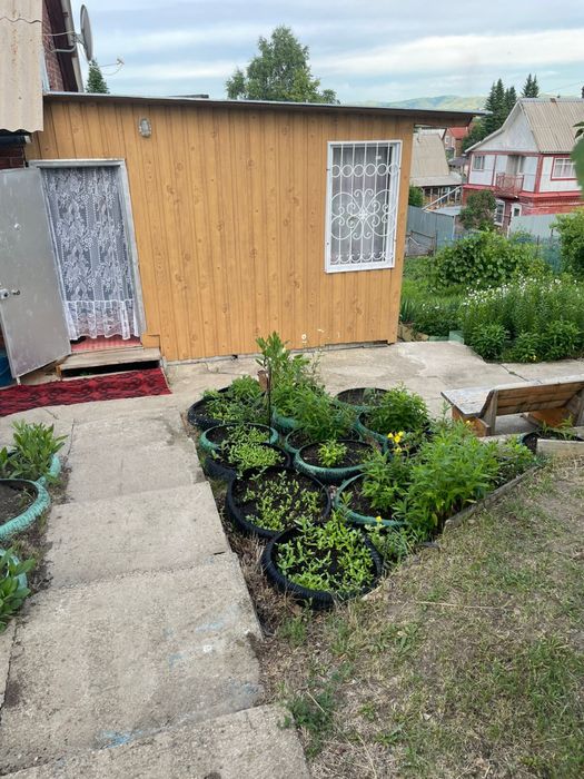 Дача. Летний дом