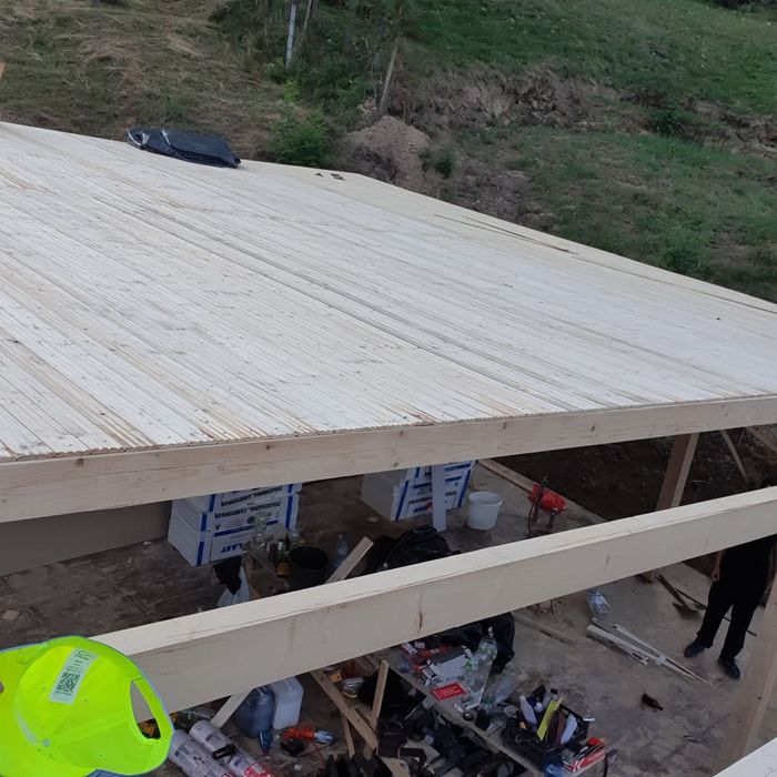 Meseriași profesioniști