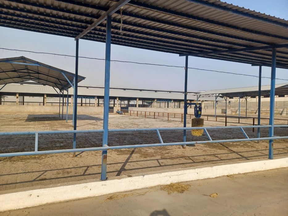 Molxona va bino inshoat