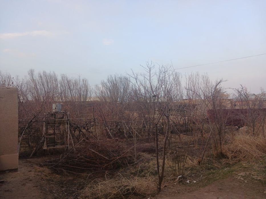 Xovli joy sotiladi aytilishi 75 000 dollir unndanam arzon boʻladi