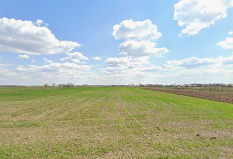 Vând teren în Bolintin-Vale, suprafața 6000 m², 20 euro / m²