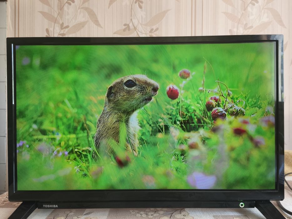 Toshiba 24WA2063DG 24" Smart Android TV - проблем с колонките