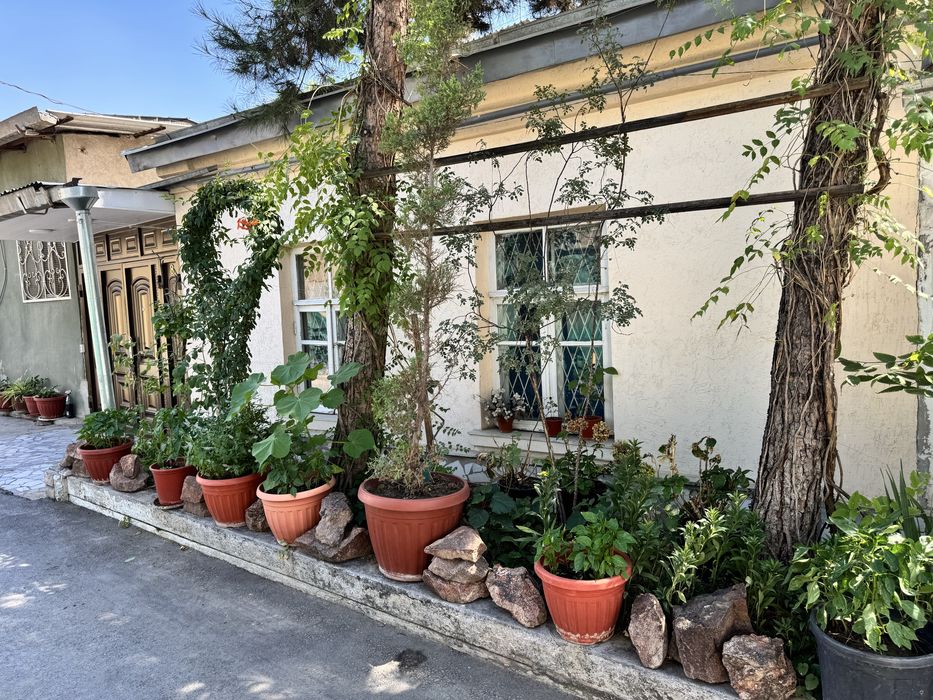 Дом 1.5 сотки ( старое шастри, вундеркинд)