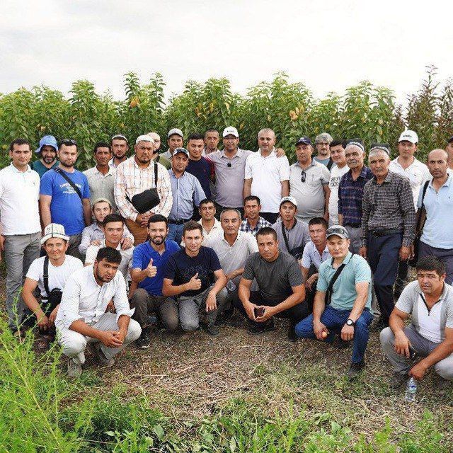 bog'bon sadovnik xizmati agranom 12-yillik