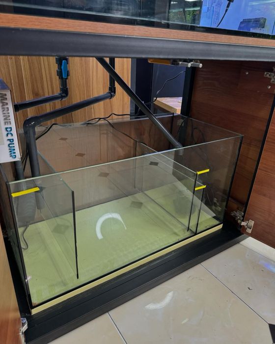 Аквариум морской 250