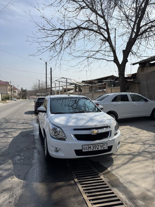 Kobilt Sotiladi 2024-25