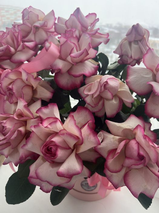 Лепестки этих роз