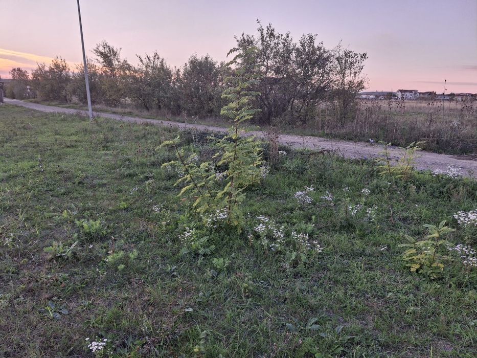 Parcele de teren intravilan de vanzare la Priseaca