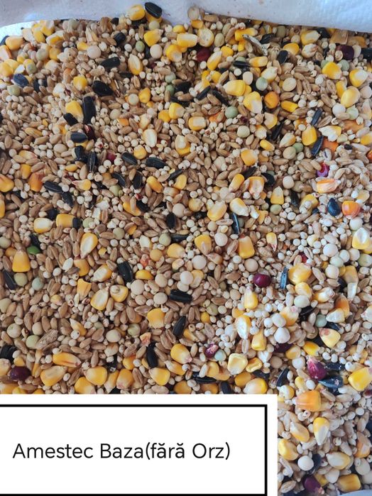 Hrana Porumbei,Turturele,Fazani,Potarnichi,Găini,Păuni,Rate,Pasari