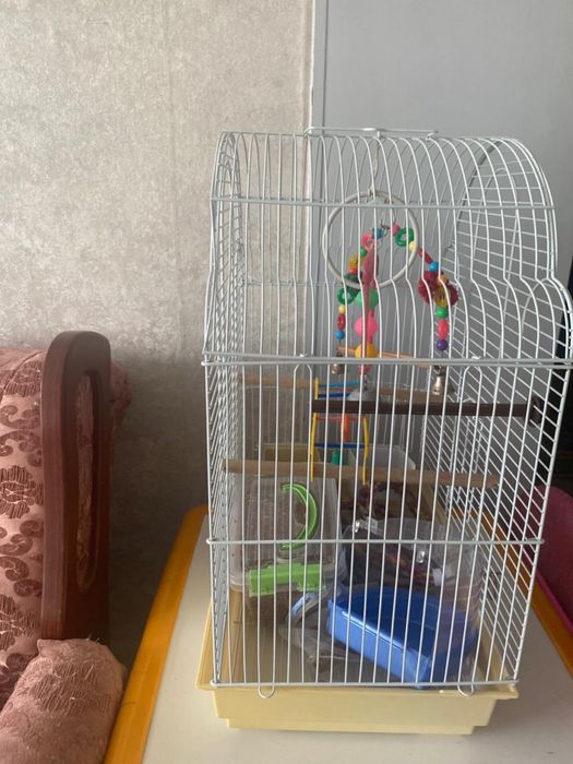 Клетка для попугаев