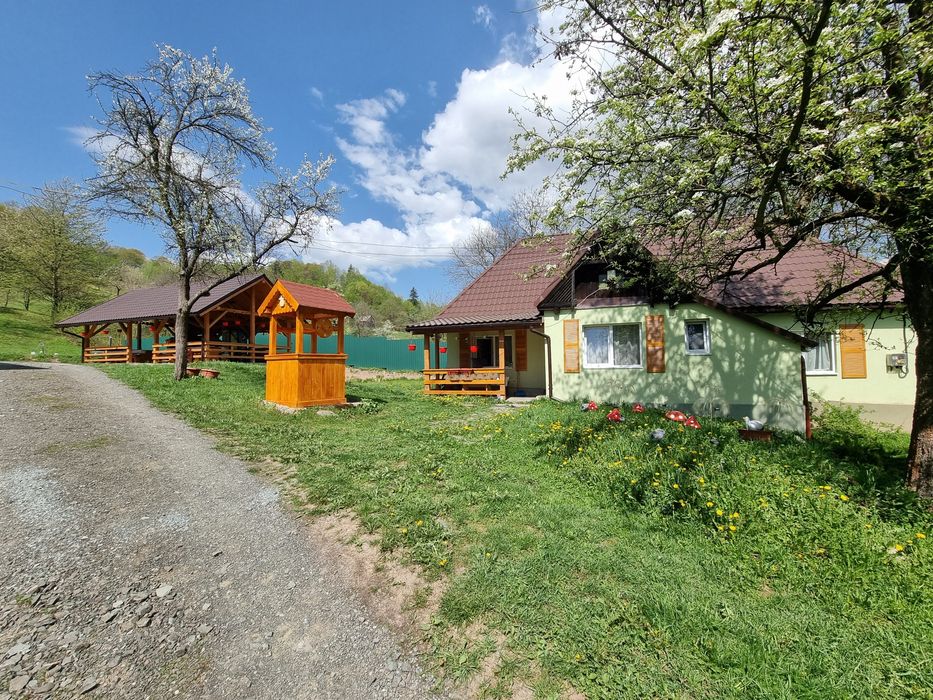 Cabana Ciupercuta / Blidari-Maramures/Cabana cu ciubar