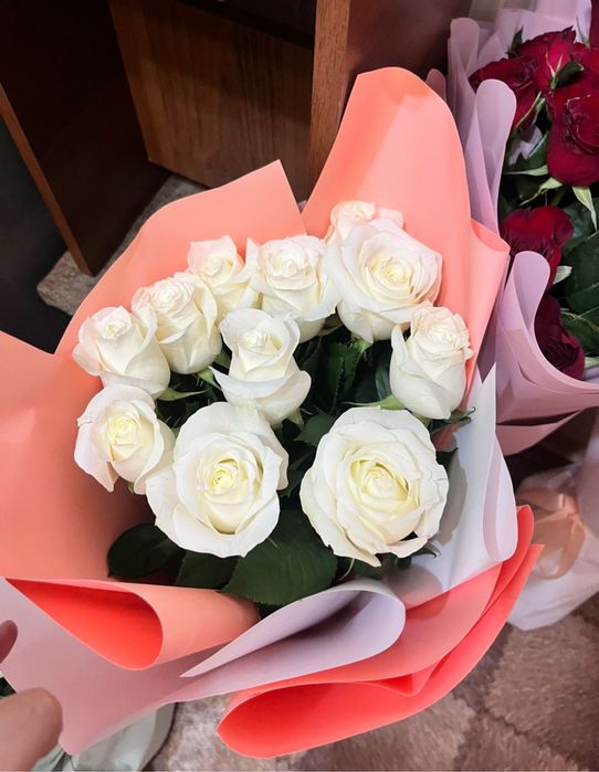 Гулдер сатылады арзан багада