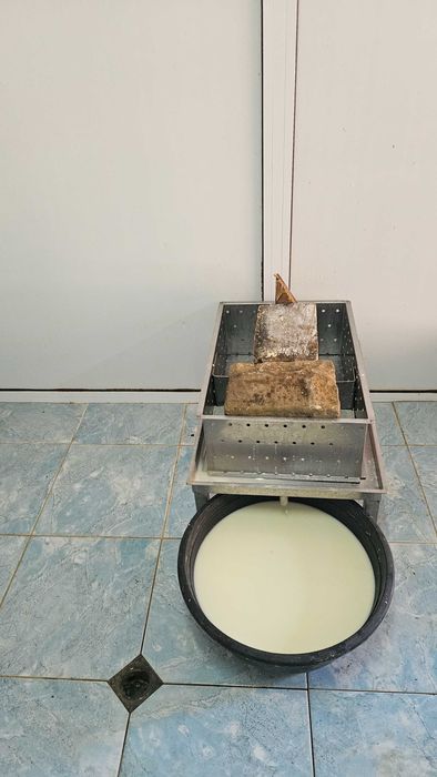 Биволско сирене!!!