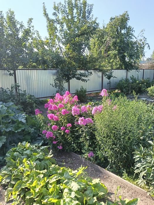 Продам дачу в Солнечном(Новопавловка) 3 сотки