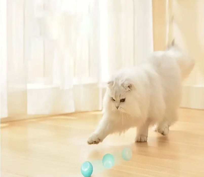 Jucărie inteligenta pentru pisici