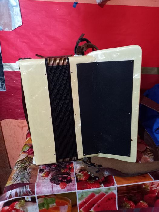 Vand acordeon Hohner Verdi 2 80 basi