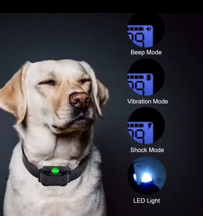 Zgarda cu sunet vibrații și electroșoc , Zgarda Dresaj Canin