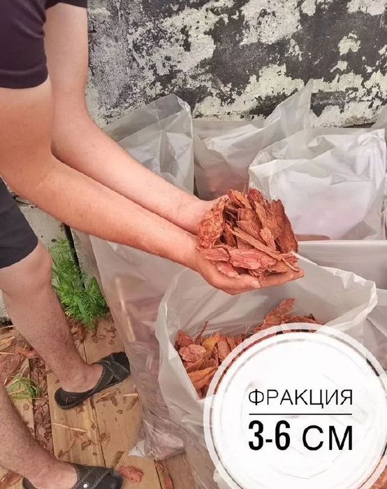 Кора лиственницы