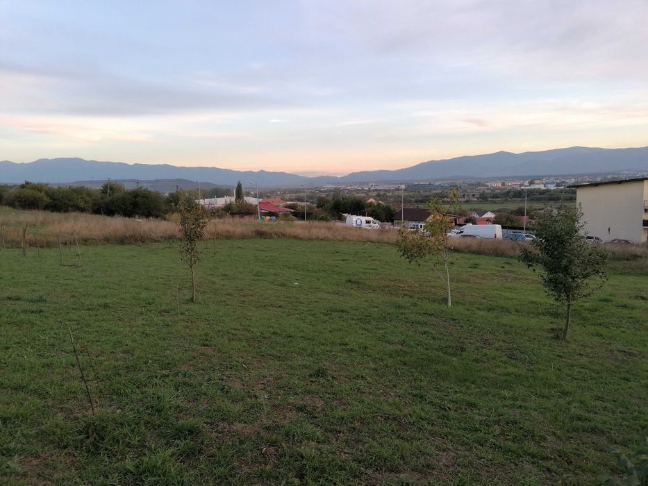 Teren construcţii strada Măceşului
