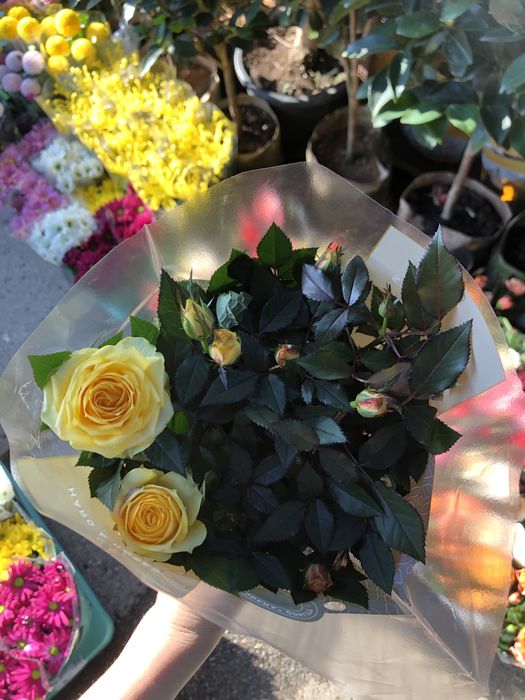 месные цветы приживаемость 100%