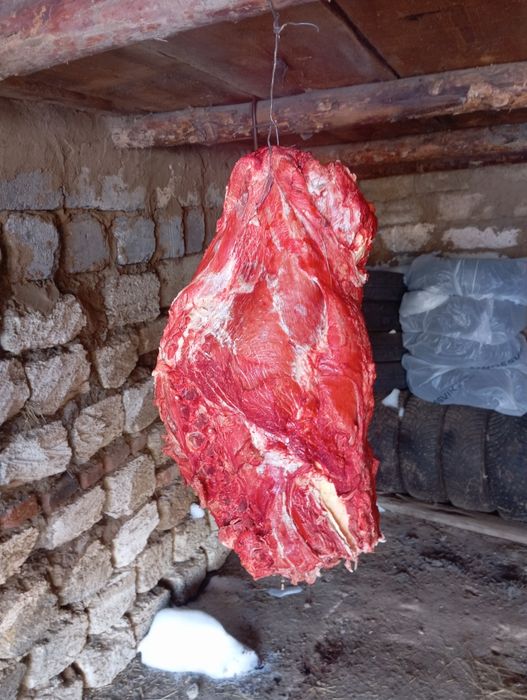 Говядина молодняк