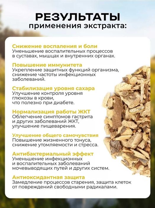 Кора Осины с Алтая