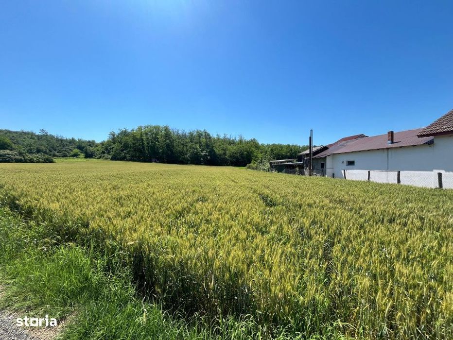 Teren intravilan cu vedere la padure, 2.533 mp, Melinesti, Amarasti