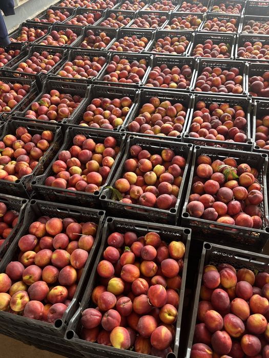 Тайёр бизнес сотилади