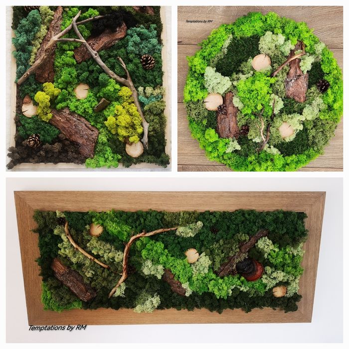 Картини със скандинавски мъх