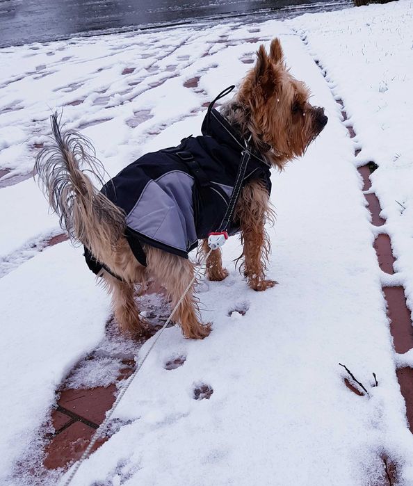 Vesta palton haina caine diverse marimi Hunter rezistanta apa/vant NOU