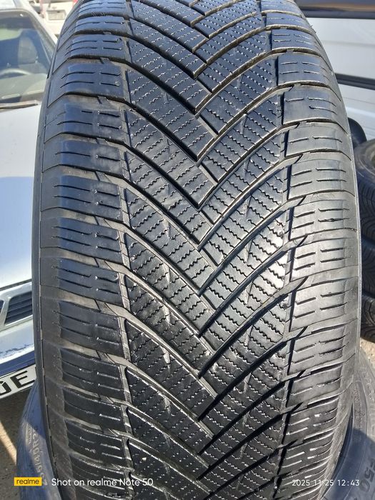 Malibu 2 Premier disk balon