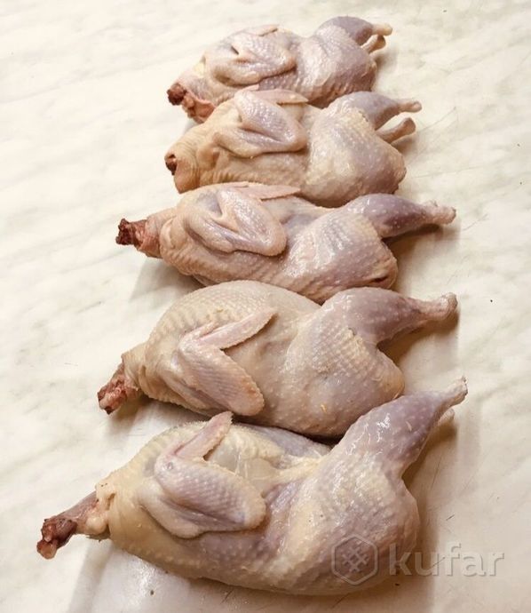 мясо перепелов домашнее