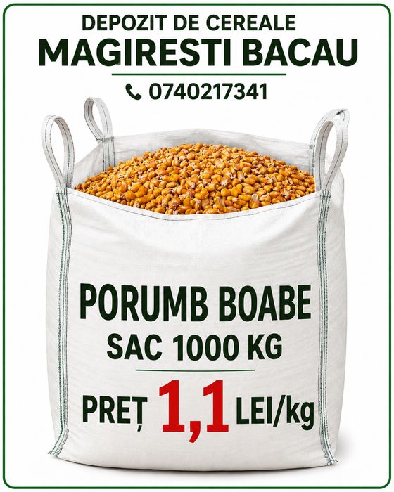 Porumb grau mazare floare