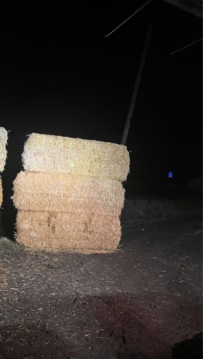 Baloti paie de ovaz 1,25m x2,5m x0,9m
