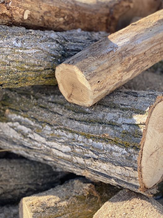 Дрова! карагач сухой. Чурки