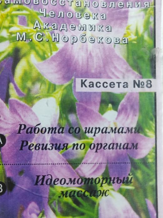 Аудиокурс М. Норбекова
