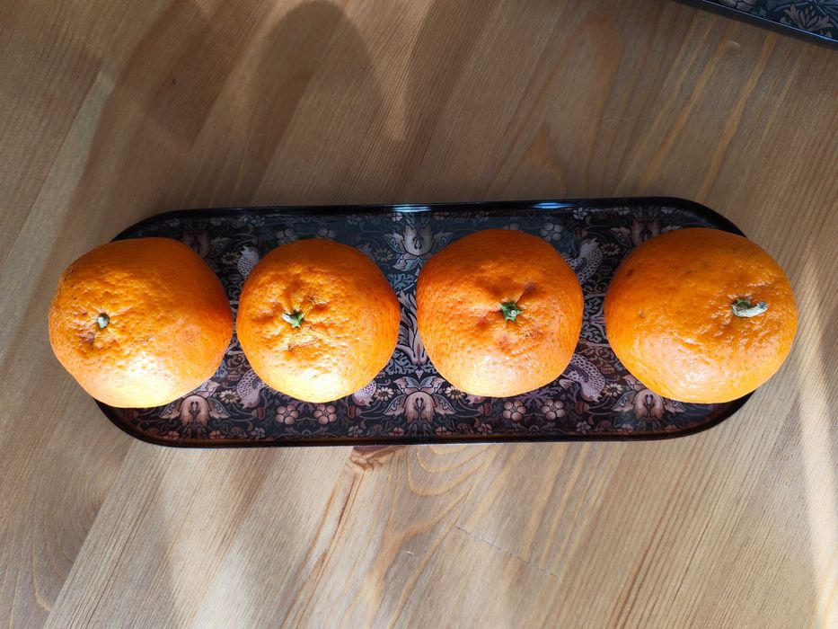 Комплект метални подноси с ефектна  ретро шарка с цветя и птици