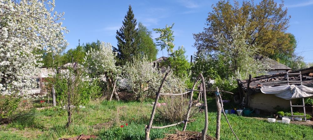 Продам дом: 3 комнаты и кухня